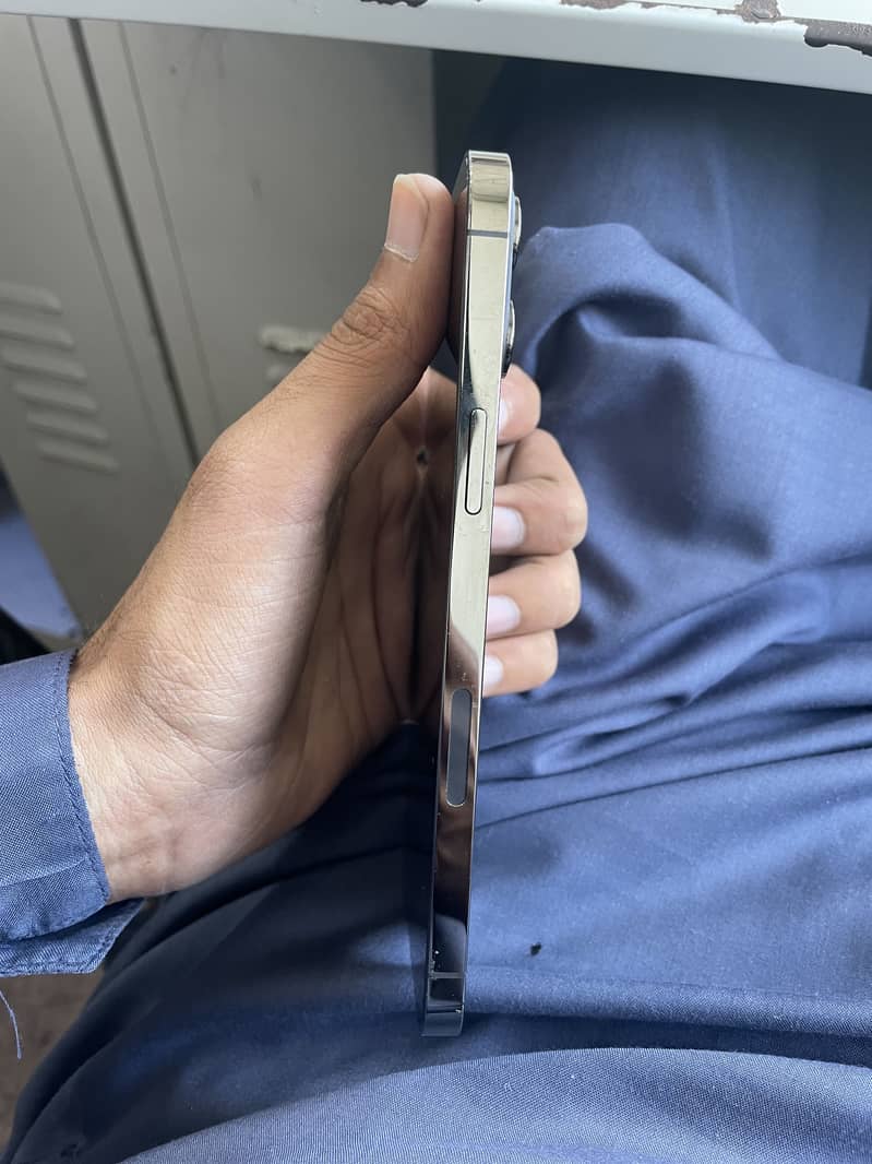 Apple iPhone 12 Pro Max Dot In panel 1