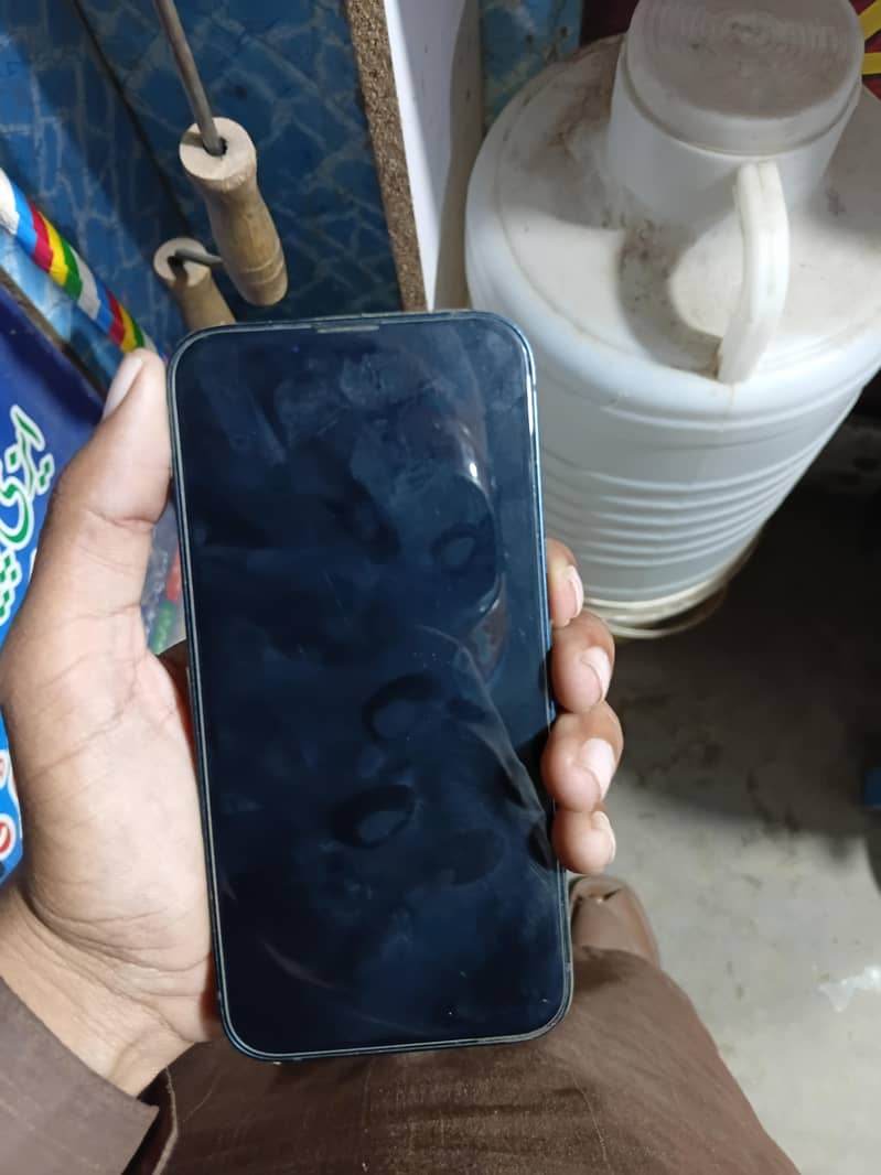 Apple iPhone 13 0
