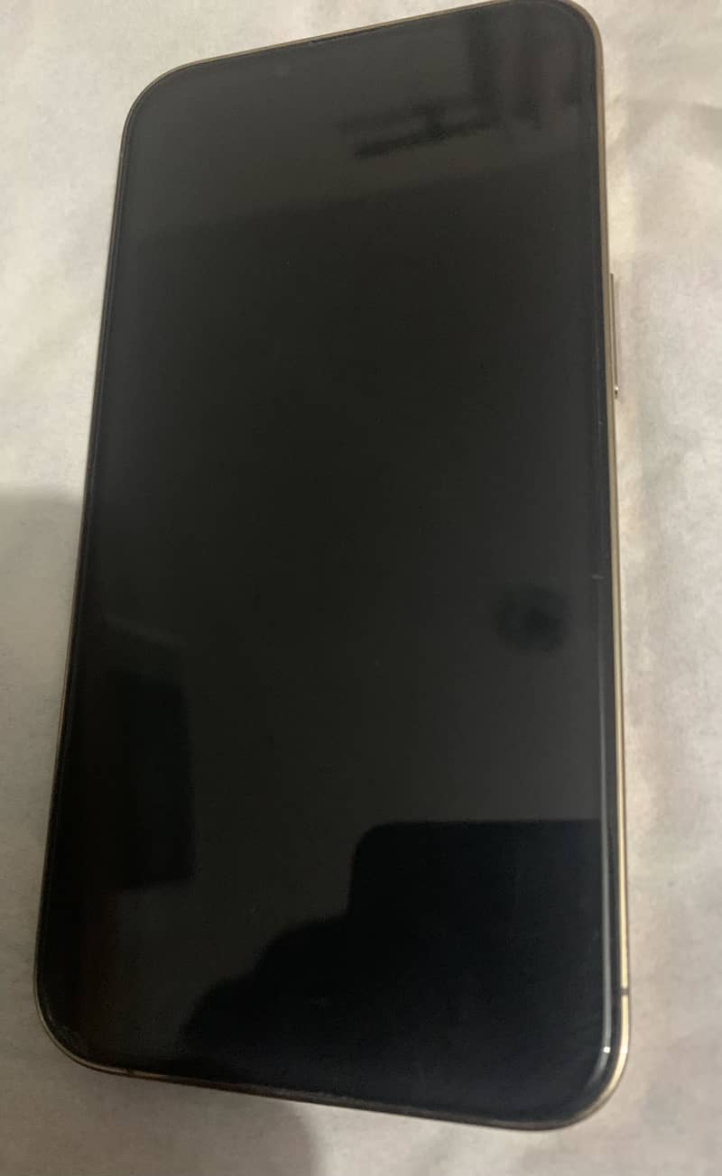 Apple iPhone 13 Pro 1