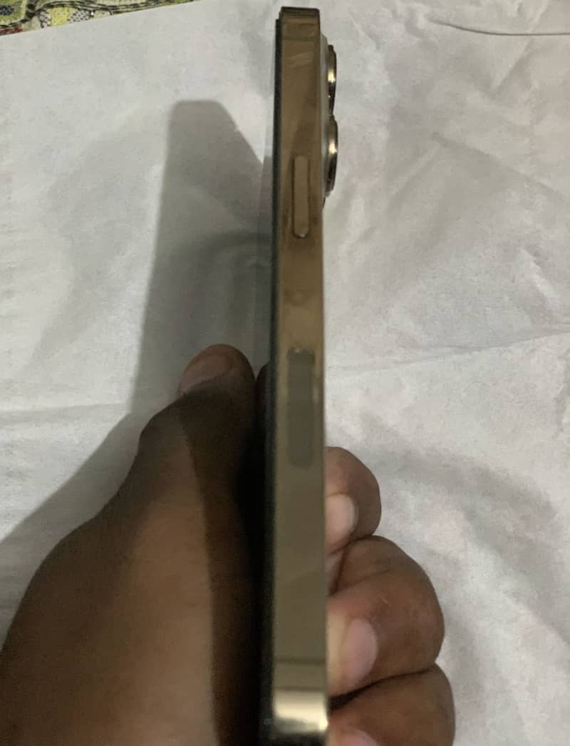 Apple iPhone 13 Pro 3