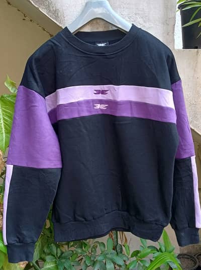 Branded Sweatshirts / Jackets / Zippers and Other Garments.