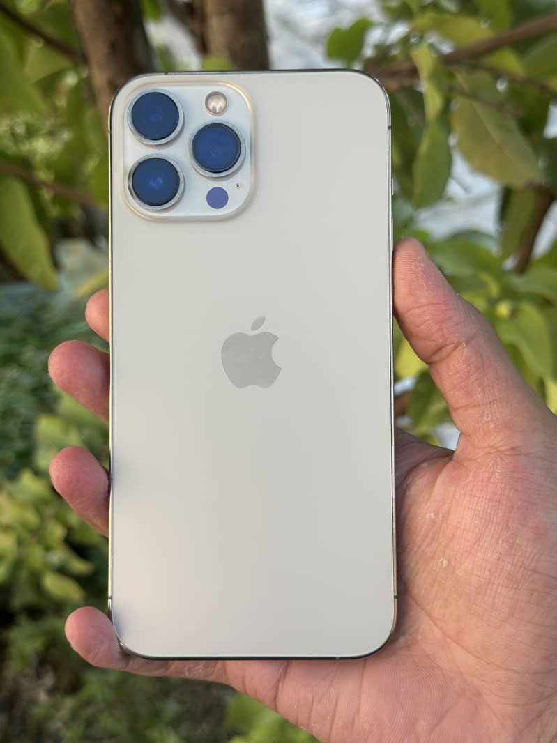 Apple iPhone 13 Pro Max 0
