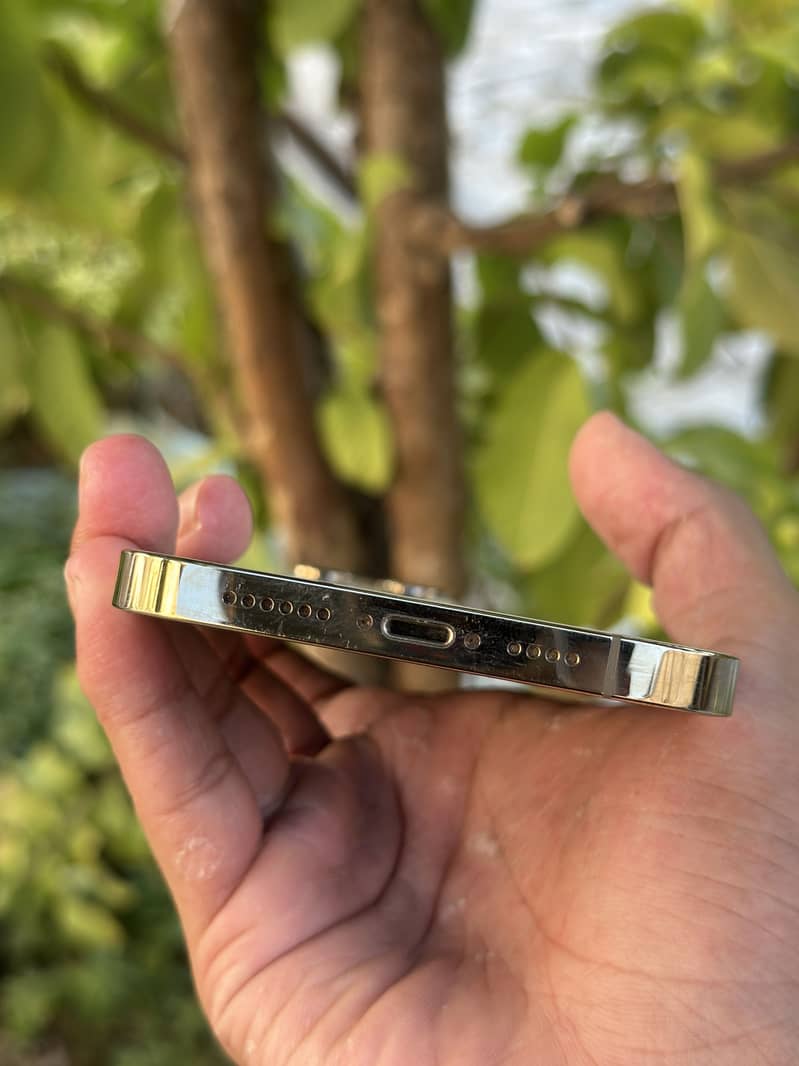 Apple iPhone 13 Pro Max 1