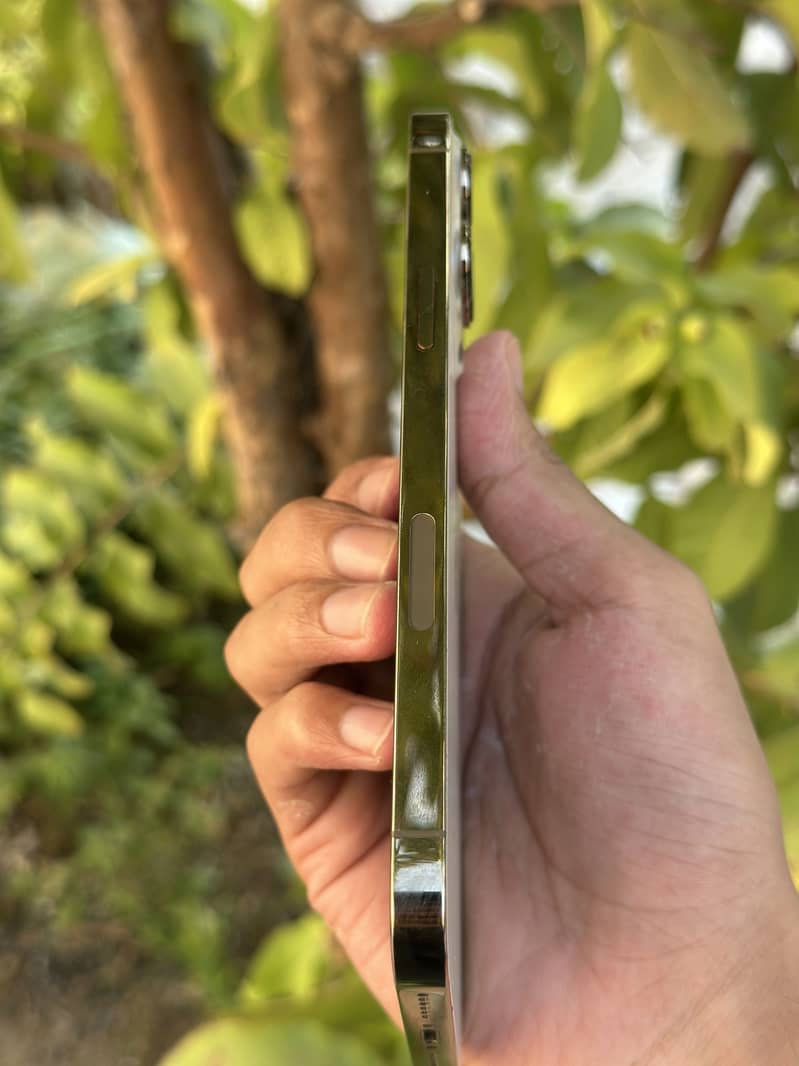 Apple iPhone 13 Pro Max 2
