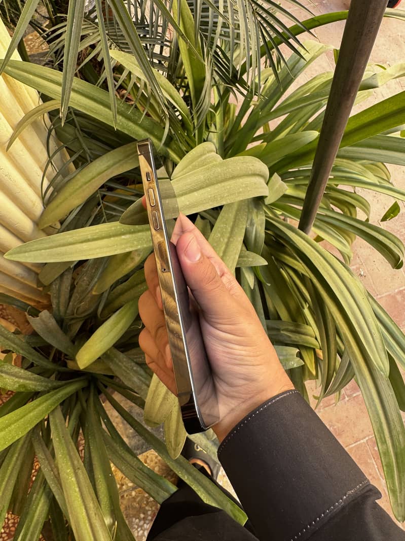 Apple iPhone 13 Pro Max 2