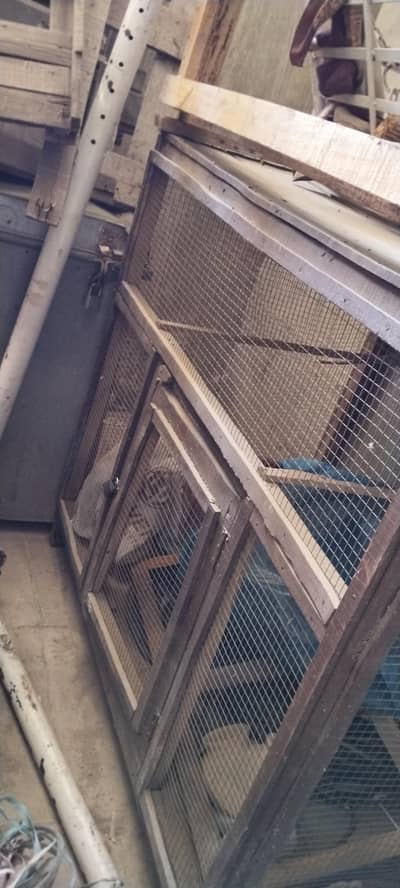Wooden Bird Cage