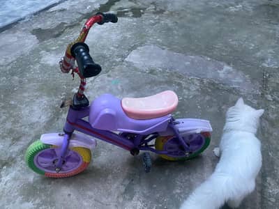 baby cycle