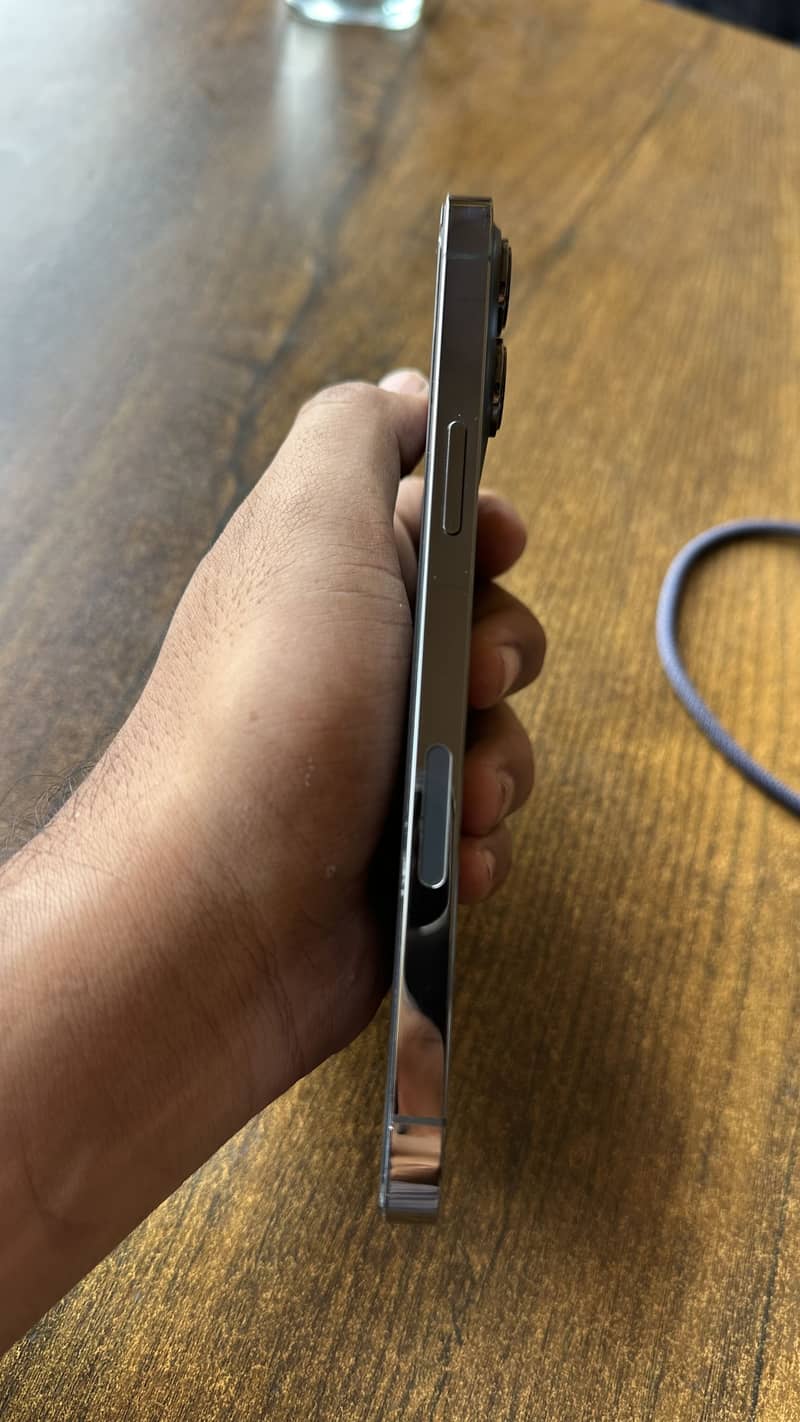 Apple iPhone 13 Pro Max 1
