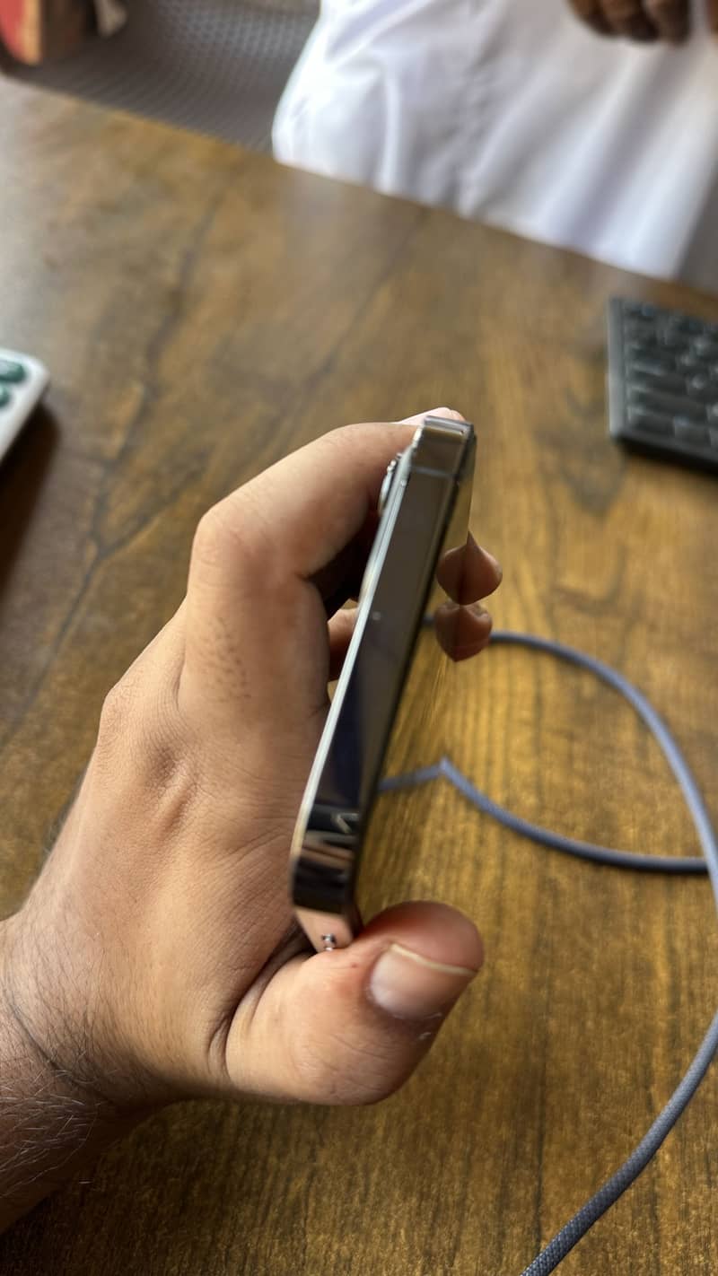 Apple iPhone 13 Pro Max 2