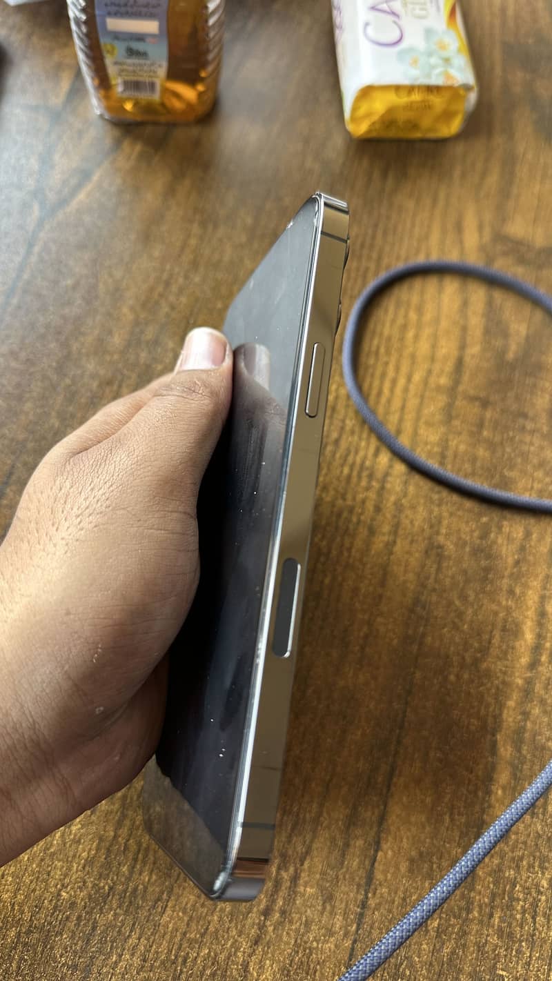 Apple iPhone 13 Pro Max 4