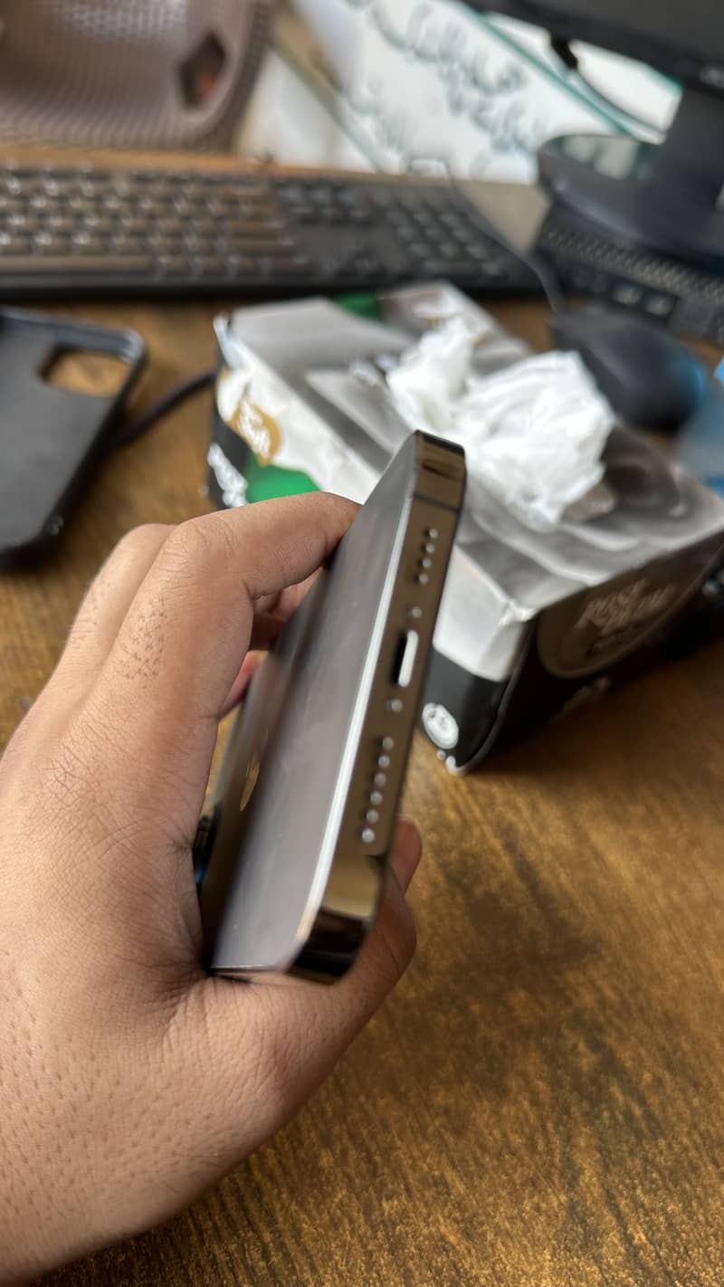 Apple iPhone 13 Pro Max 5