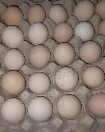 Desi egg