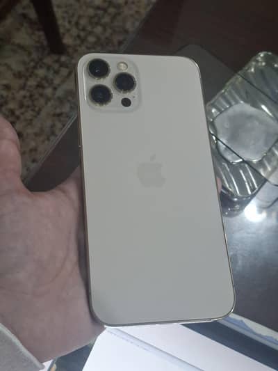 Apple iPhone 12 Pro Max