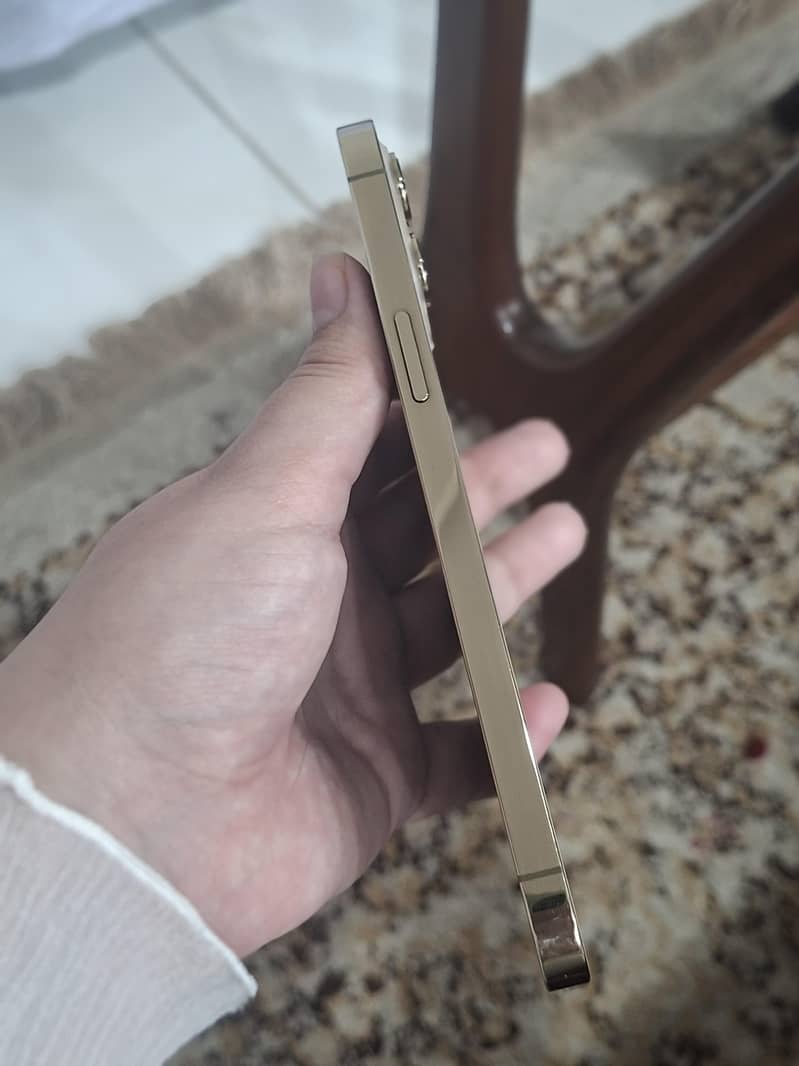 Apple iPhone 12 Pro Max 1