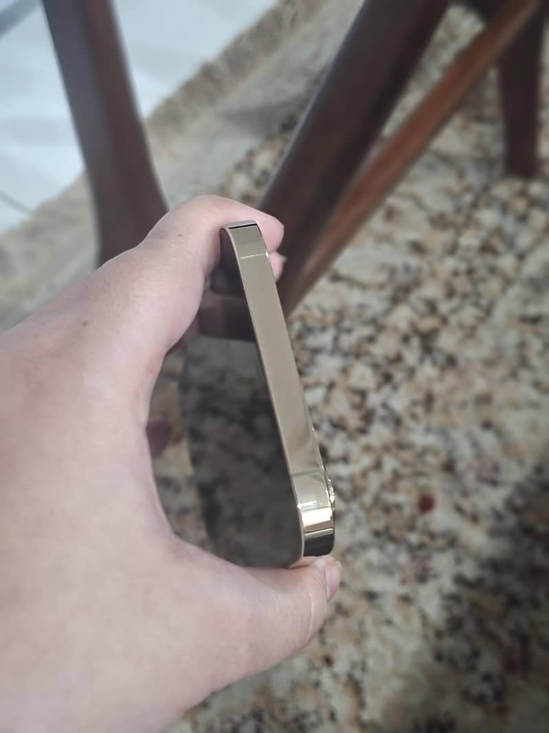 Apple iPhone 12 Pro Max 5