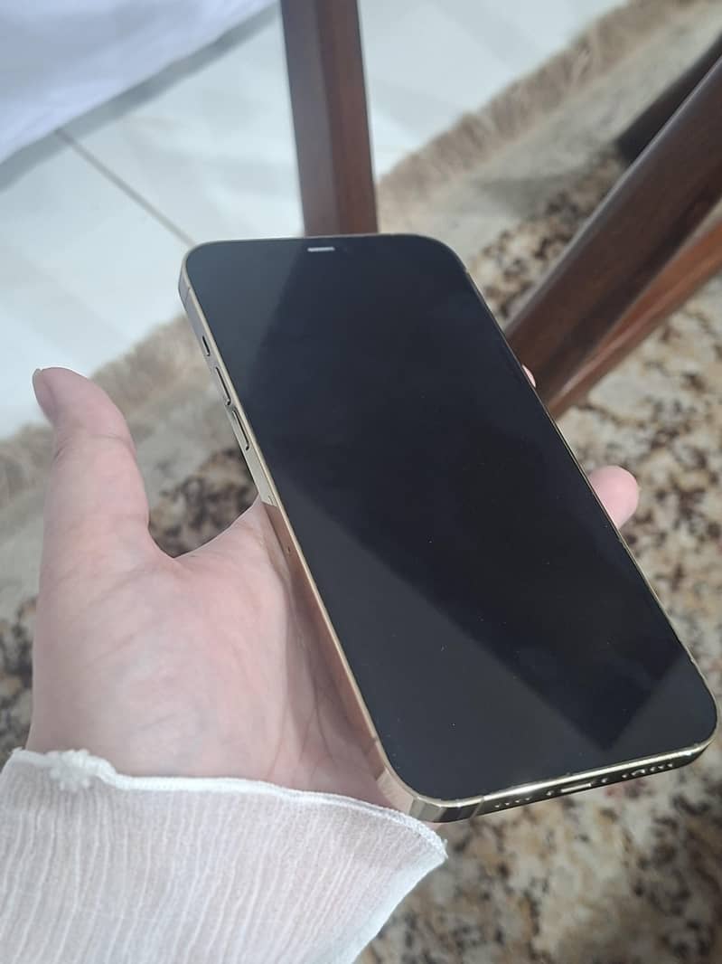 Apple iPhone 12 Pro Max 7