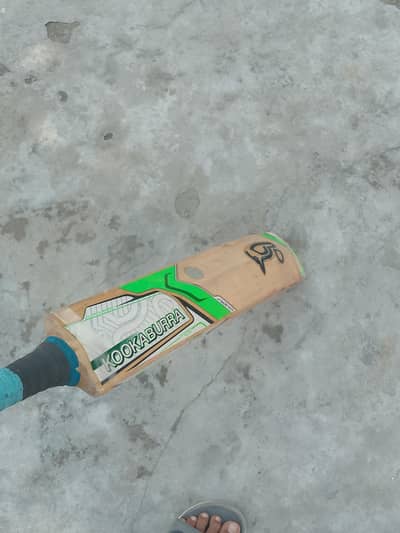 original Kookaburra Kahuna Pro Hard Ball Cricket Bat