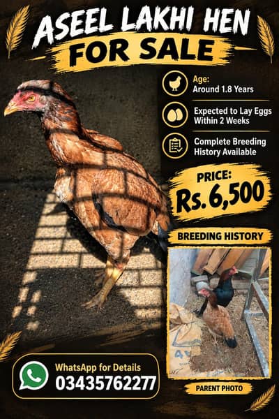 lakhi madi for sale