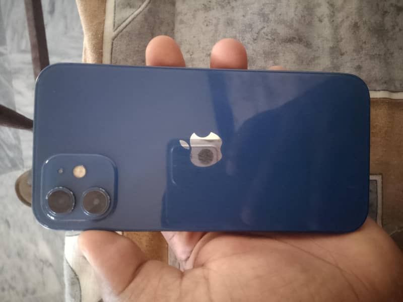 Apple iPhone 12 1