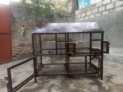 Hen Cage