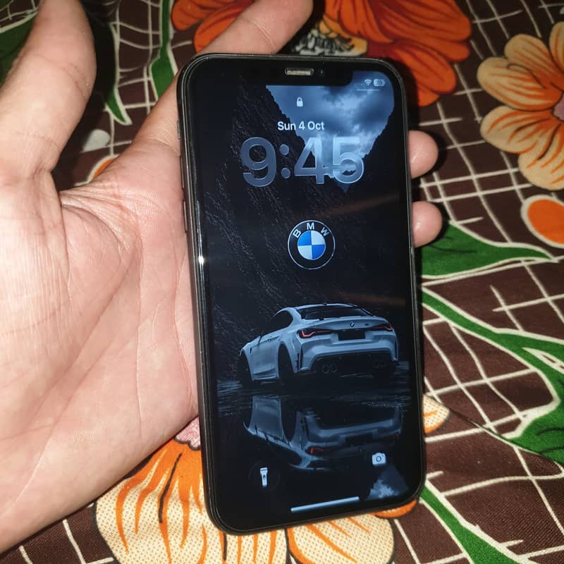 Apple iPhone 11 bypass 10