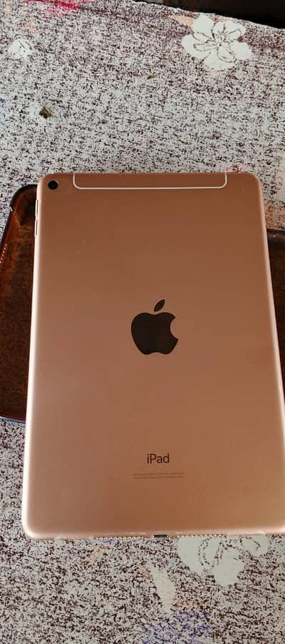 Ipad Mini 5 64 gb storage pubg 60 fps beast gaming