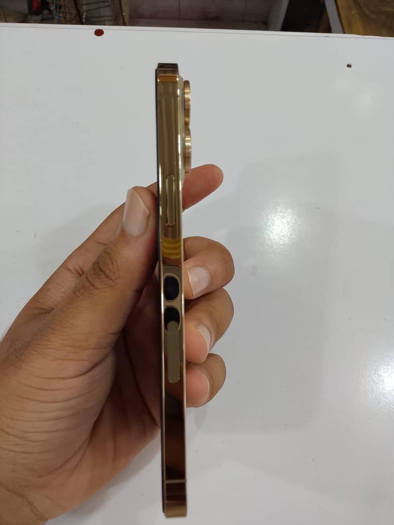 Apple iPhone 13 Pro Max 2