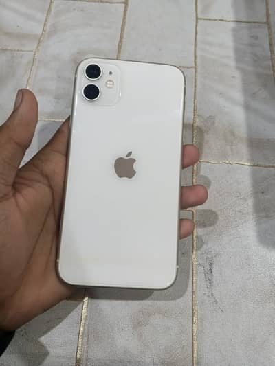 Apple iPhone 11 water pack