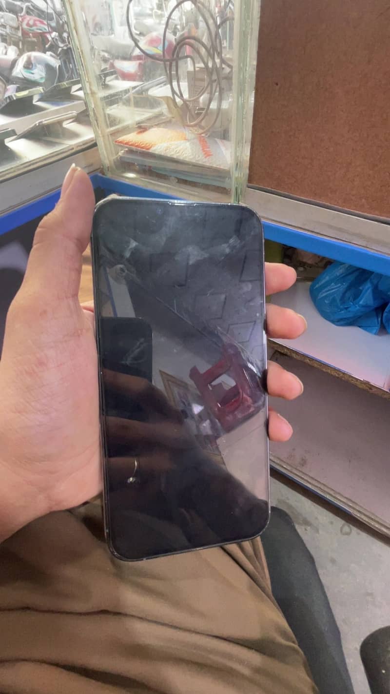 Apple iPhone 13 Pro Max 1