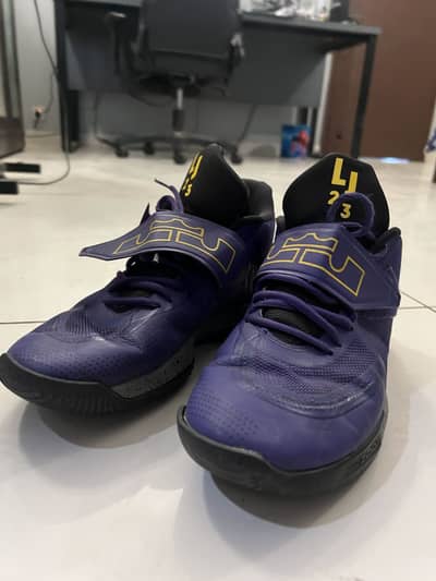 Nike lebron James ambassador 12 basketball shoes for sale