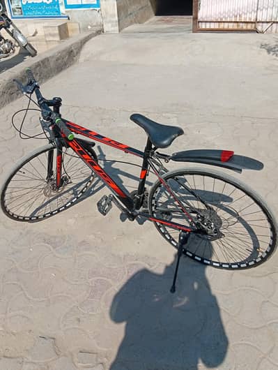 beautiful carpet road racing cycle