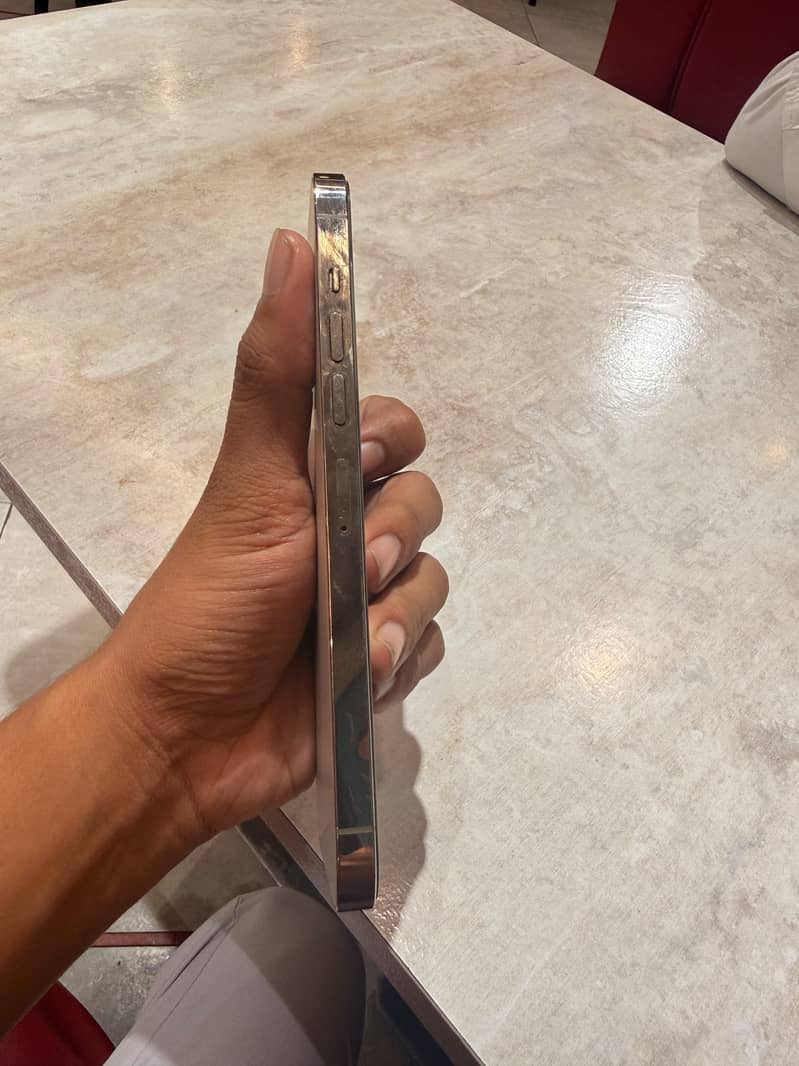 Apple iPhone 13 Pro Max 2