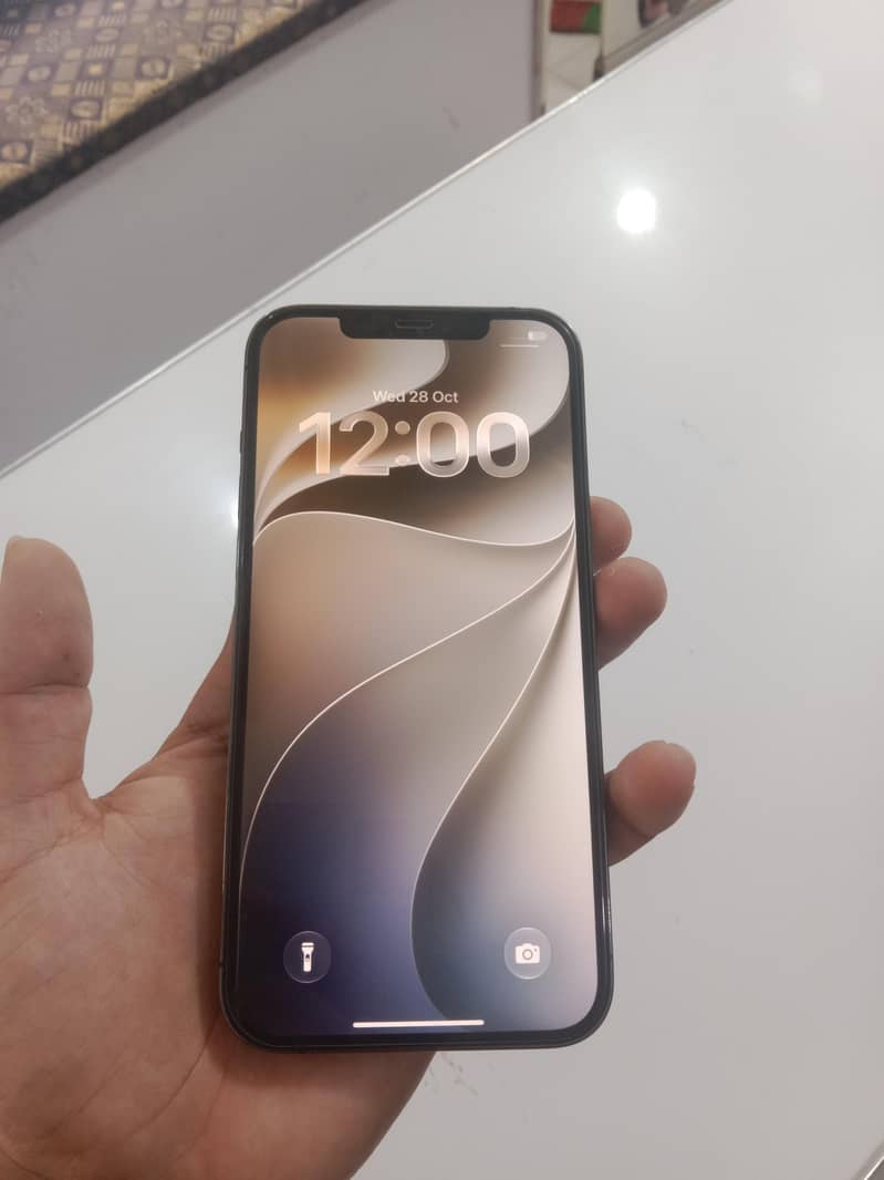 Apple iPhone 12 Pro Max 1