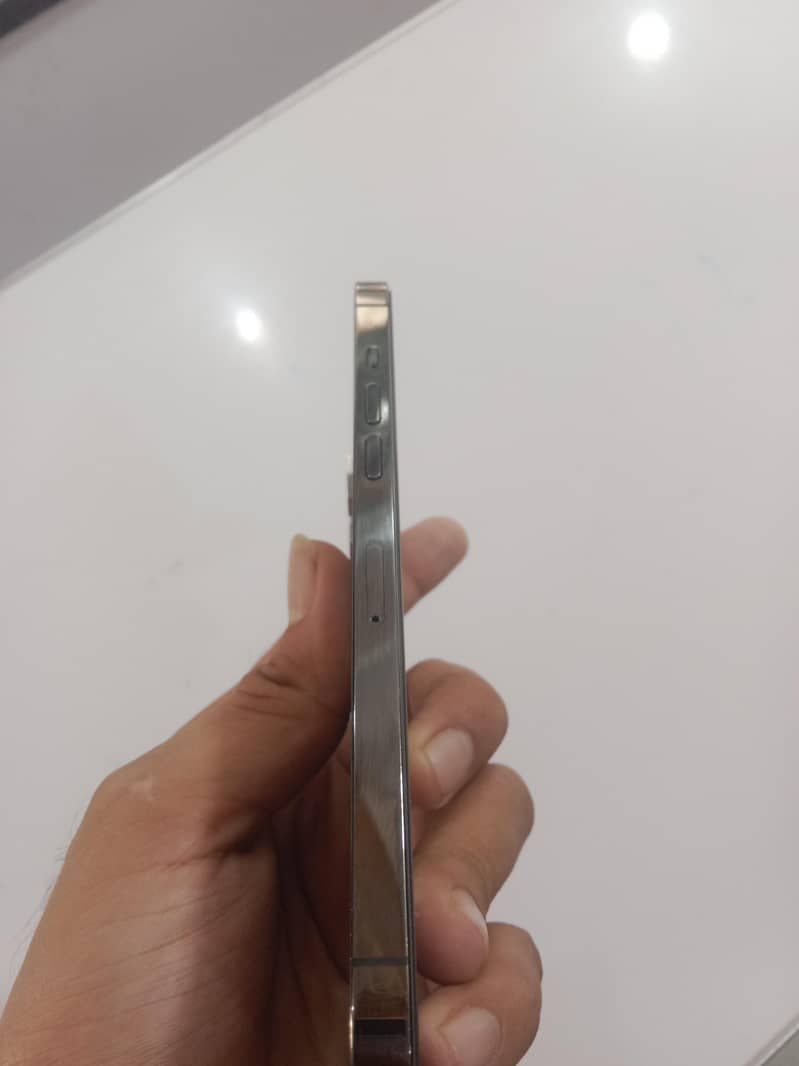 Apple iPhone 12 Pro Max 2