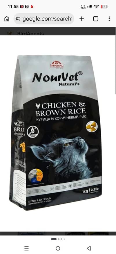 All cat food cargo service 03224678460