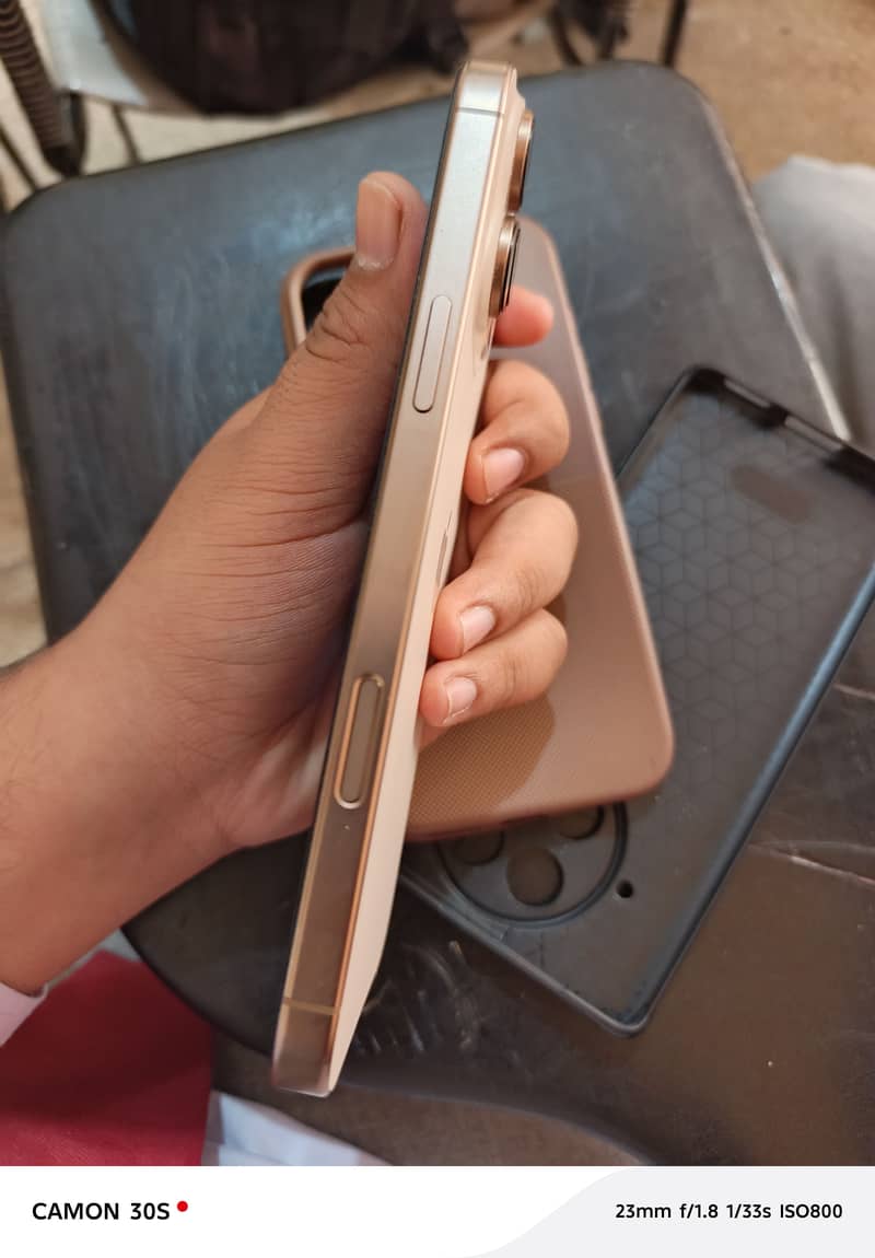 Apple iPhone 16 Pro Max 4