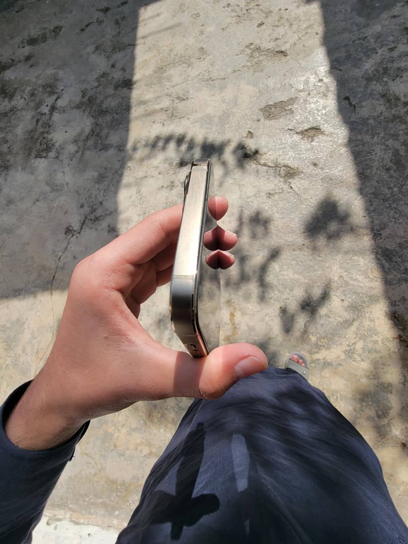 Apple iPhone 13 Pro Max 1