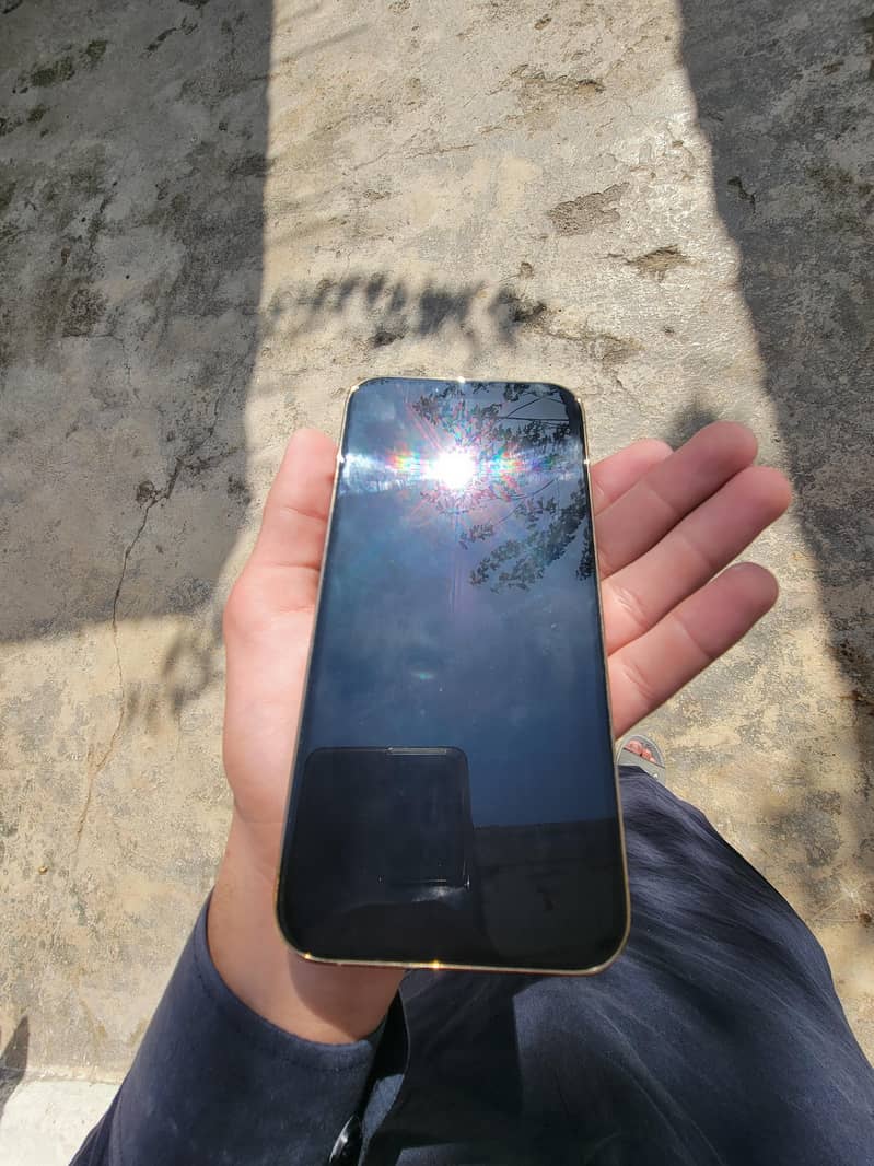 Apple iPhone 13 Pro Max 2