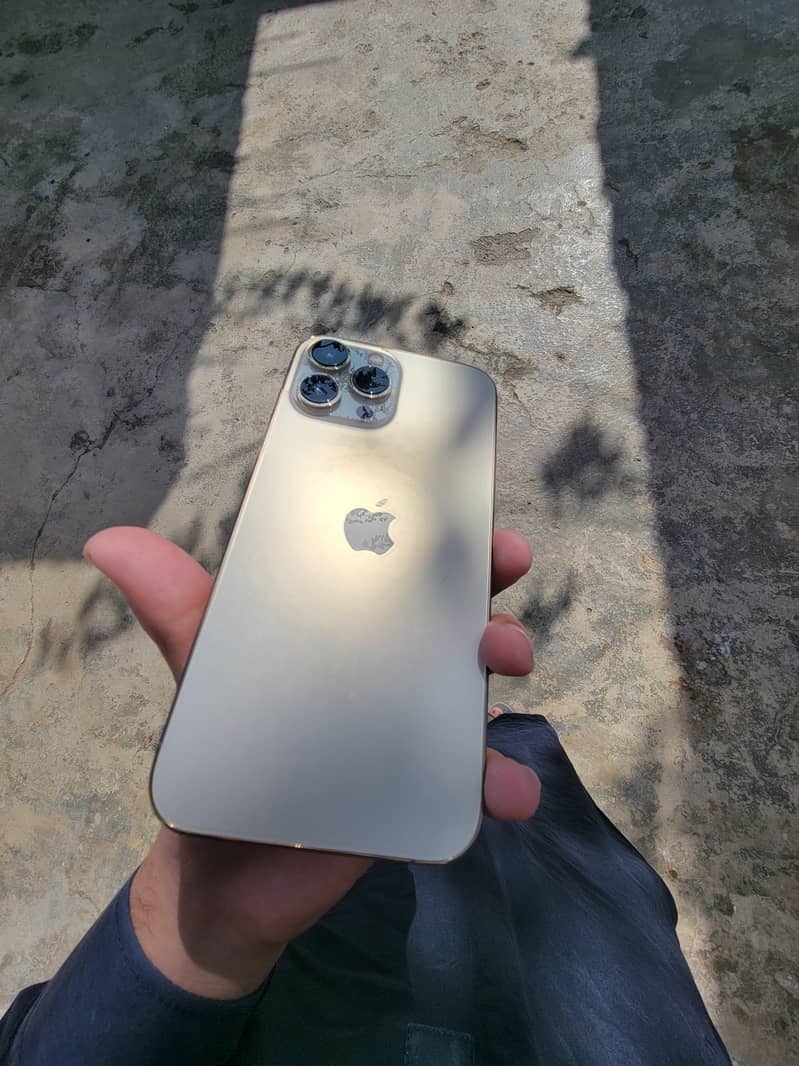 Apple iPhone 13 Pro Max 4