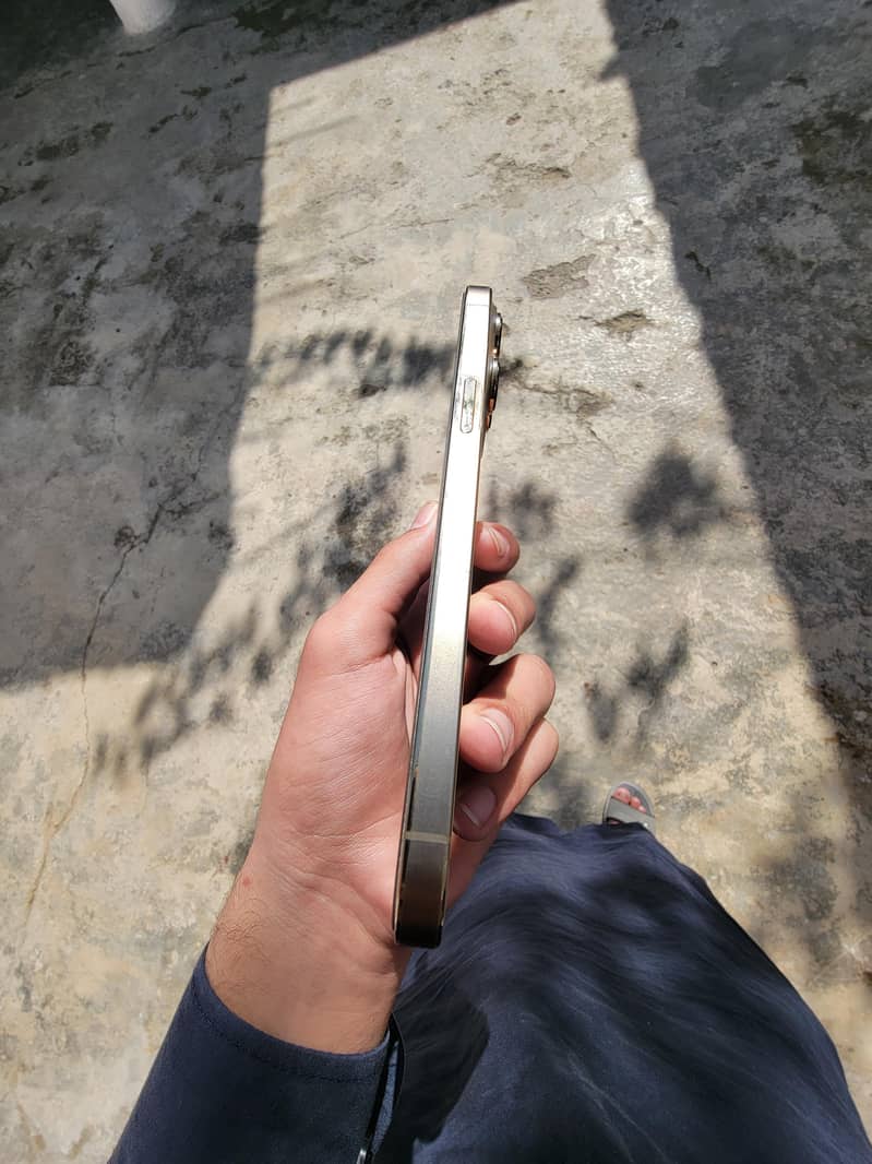 Apple iPhone 13 Pro Max 6