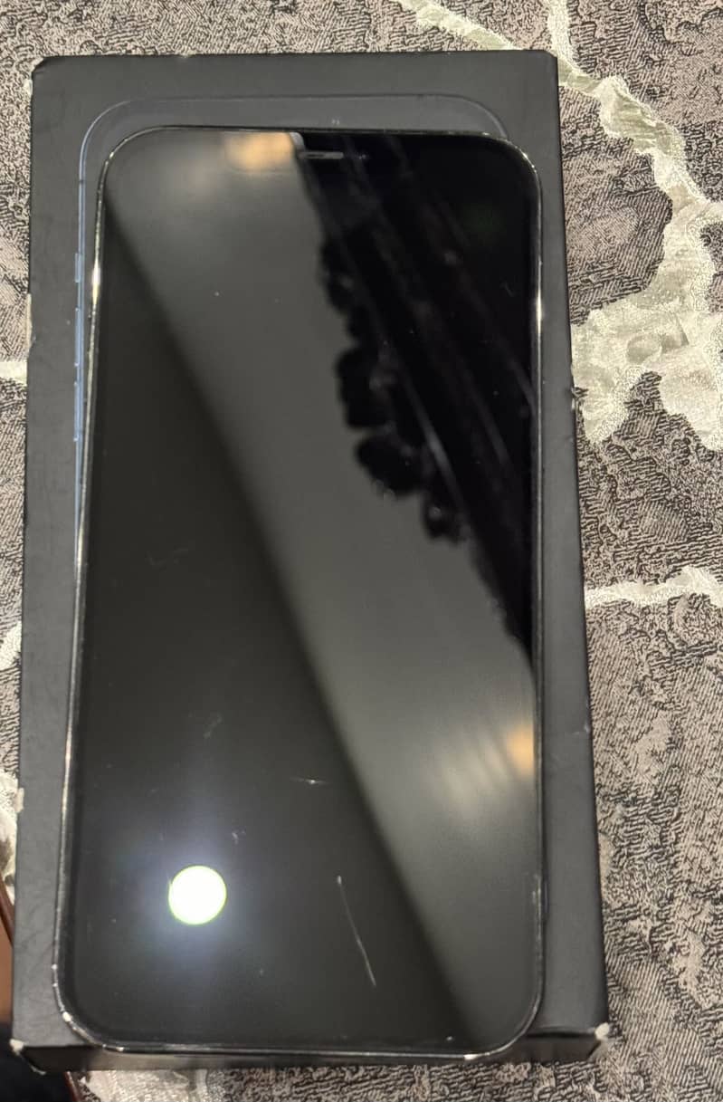 Apple iPhone 12 Pro Max 1