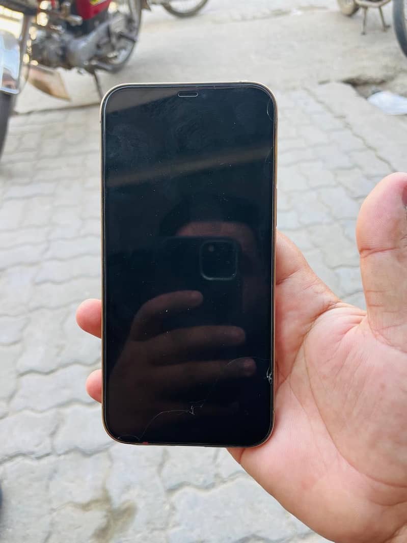 Apple iPhone 12 Pro Max 1