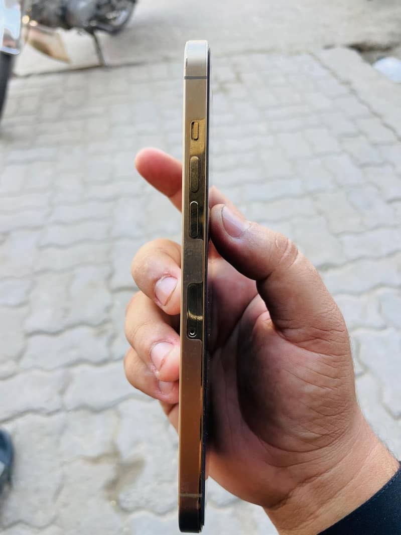 Apple iPhone 12 Pro Max 2