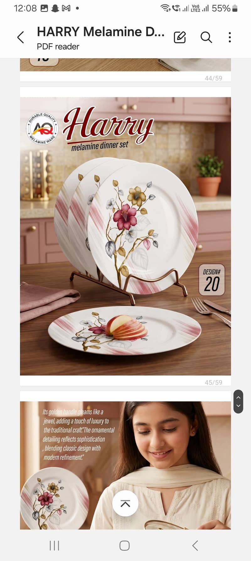 Dinner Set 2