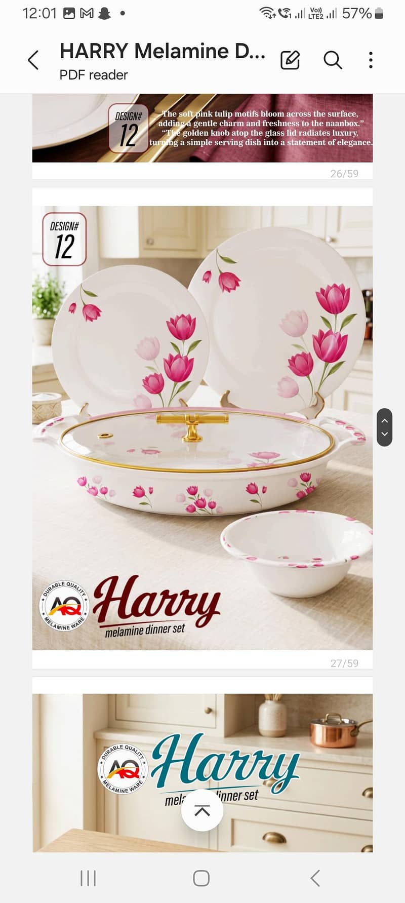Dinner Set 6
