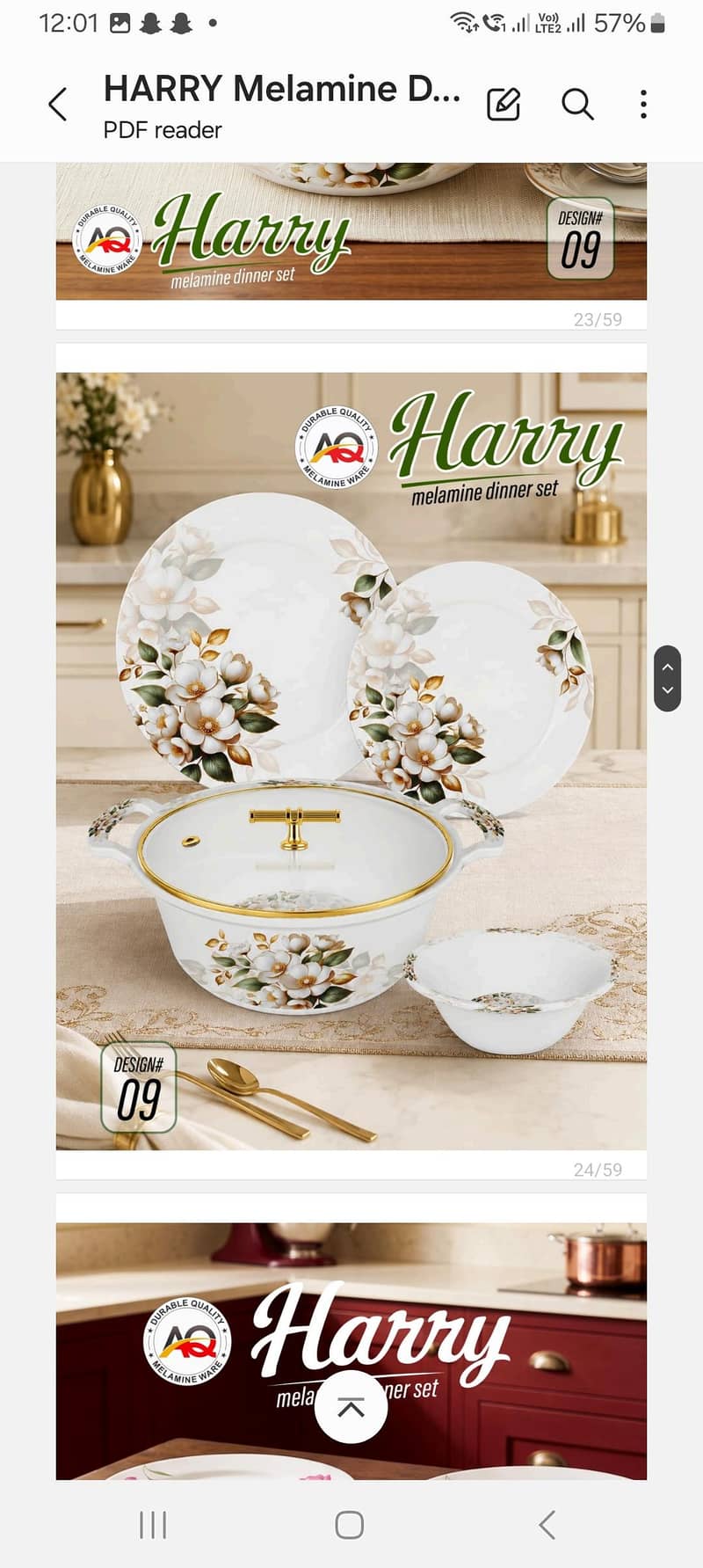 Dinner Set 9