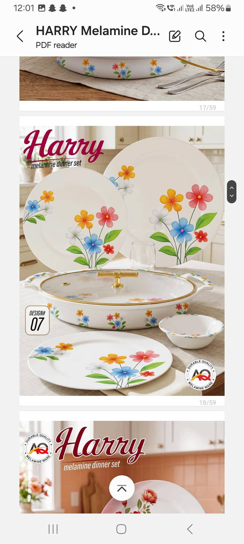 Dinner Set 13