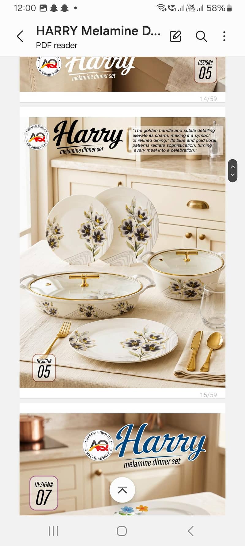 Dinner Set 15