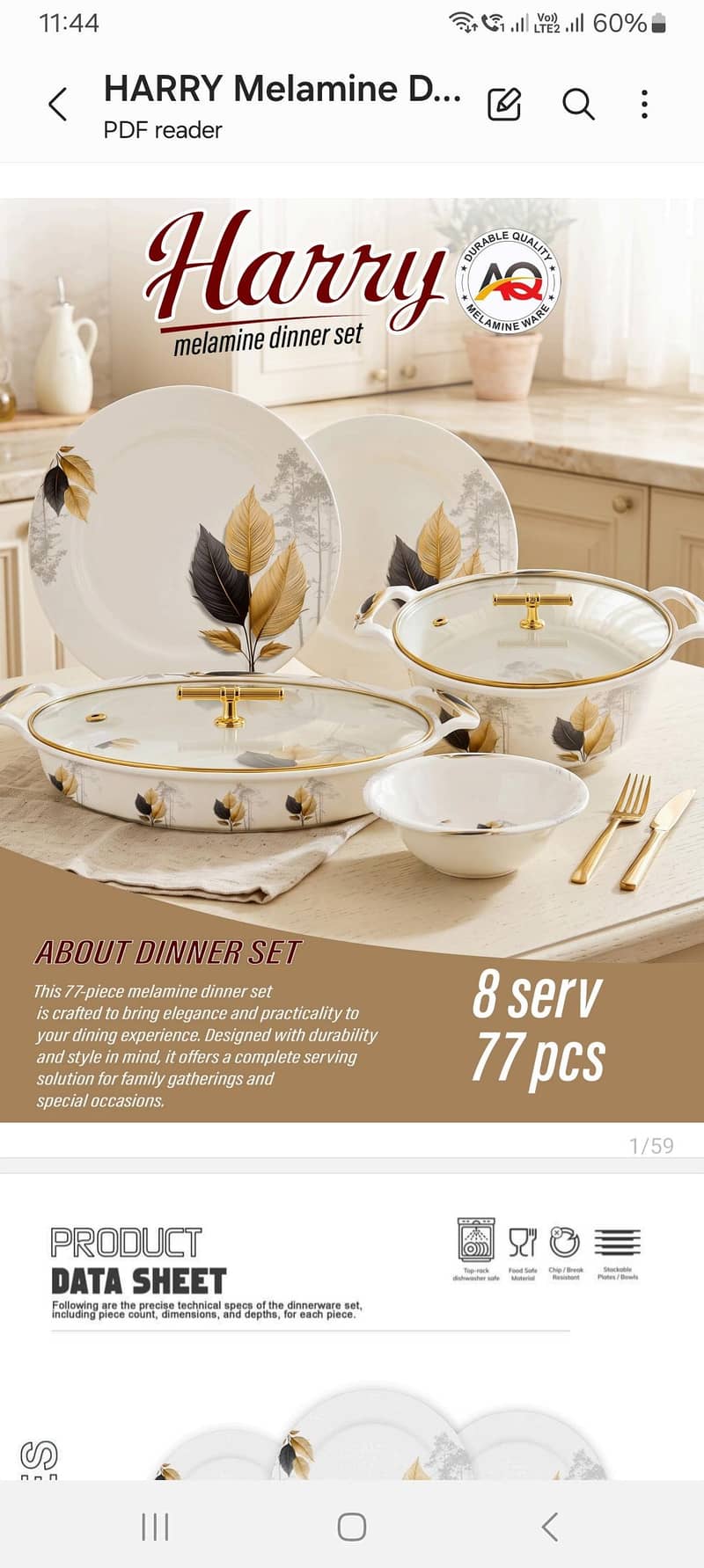 Dinner Set 17