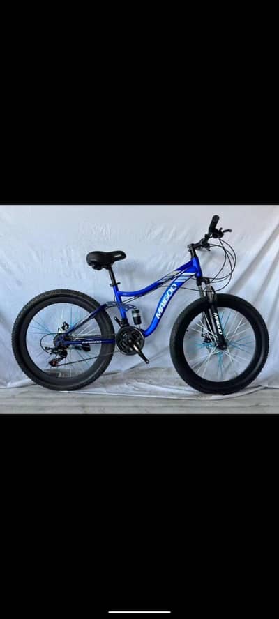 Imported Bicycle European Made